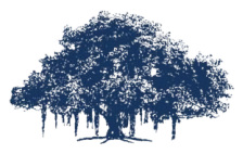 IIIT Hyderabad Logo